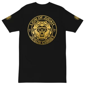 mens-premium-heavyweight-tee-black-front