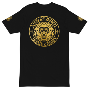 mens-premium-heavyweight-tee-black-front