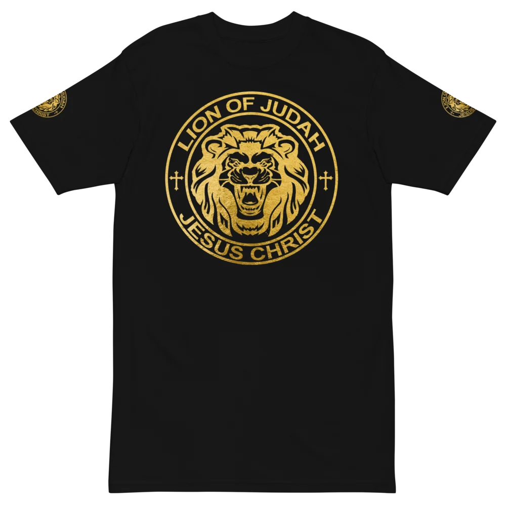 mens-premium-heavyweight-tee-black-front
